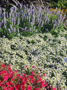 SURDIVA® White Improved